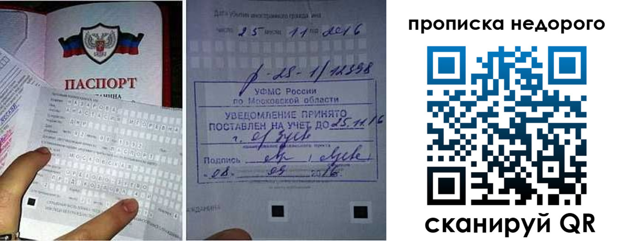 прописка от собственника в Дальнегорске