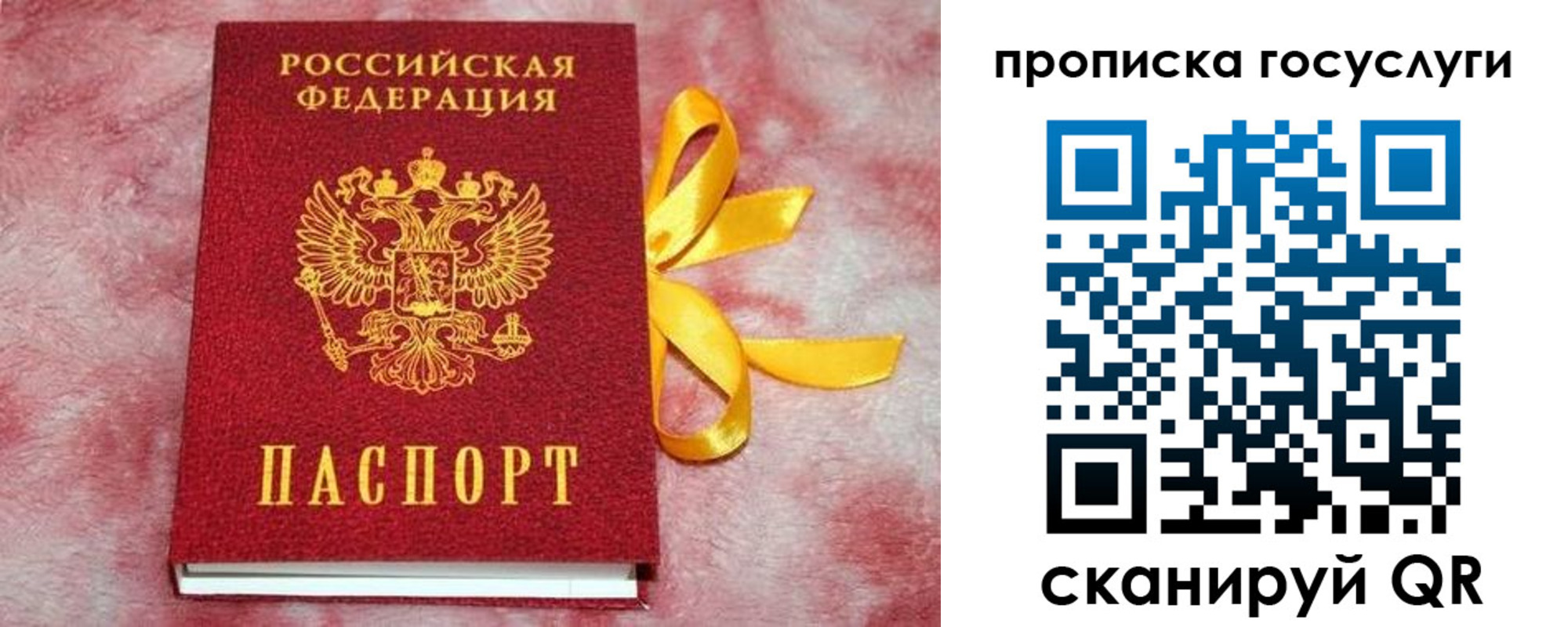 регистрация в Дальнегорске